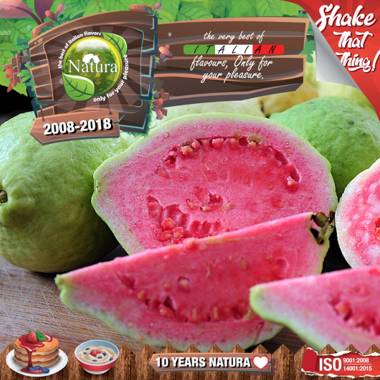 9646 - NATURA SHAKE AND TASTE FOREST GUAVAZ 60/100ml (    )