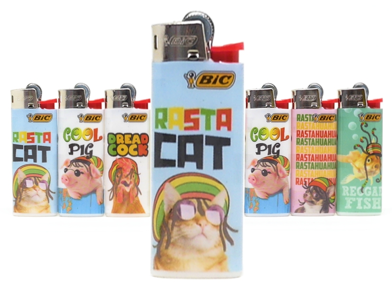 13232 -  Bic Mini J25 slv REGGAE 22 (8 )