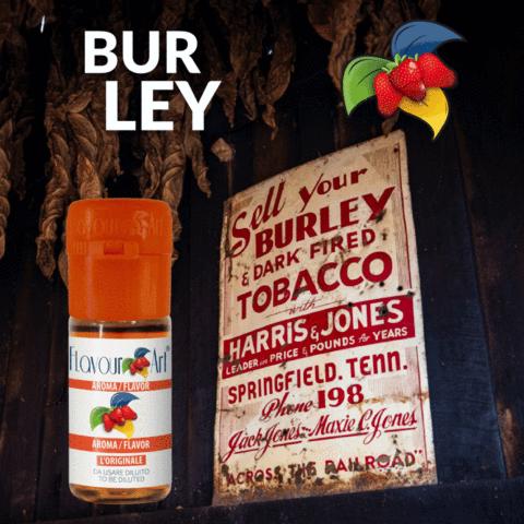  Flavour Art  BURLEY 10ml