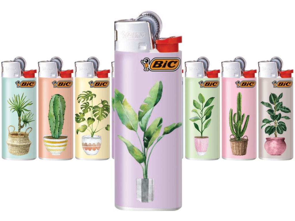 14094 -  Bic Mini COOL PLANT J25 slv (8 )