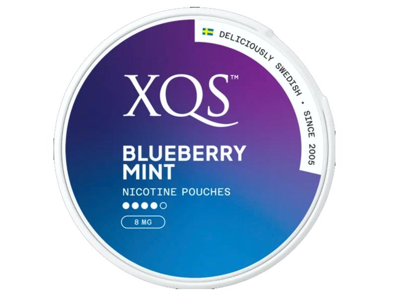 14239 - XQS   BLUEBERRY MINT Strong 20 8mg  (Made in Sweden)