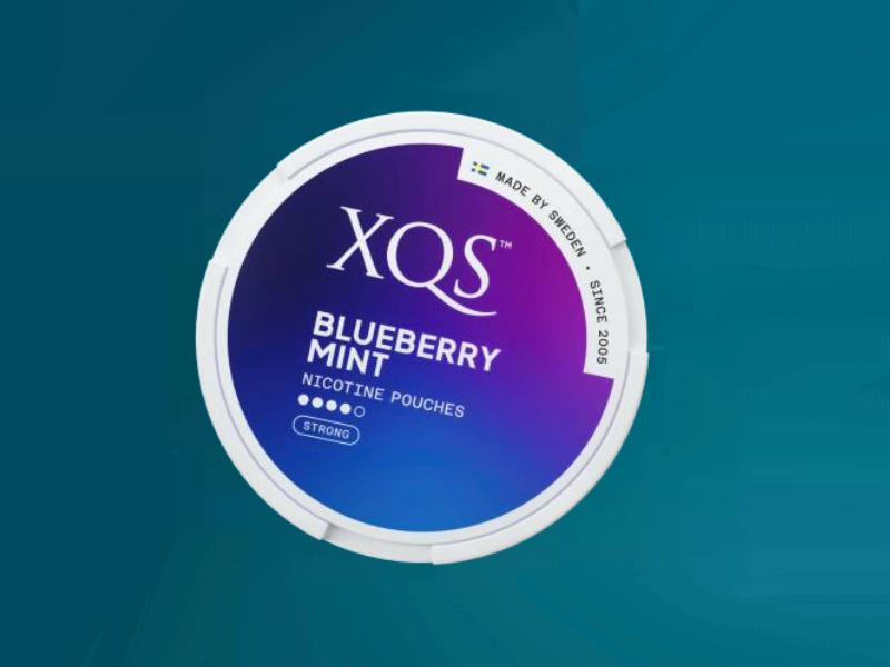 14725 - XQS   BLUEBERRY MINT Strong 20 8mg  (Made in Sweden)