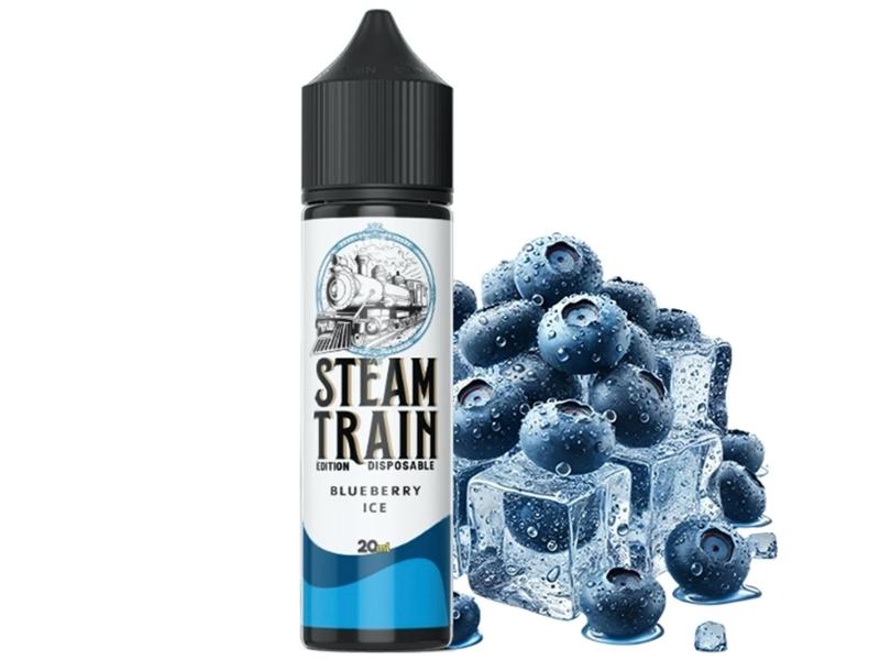 14736 - STEAMTRAIN DISPOSABLE EDITION Flavour Shot BLUEBERRY ICE 20ml / 60ml (  )