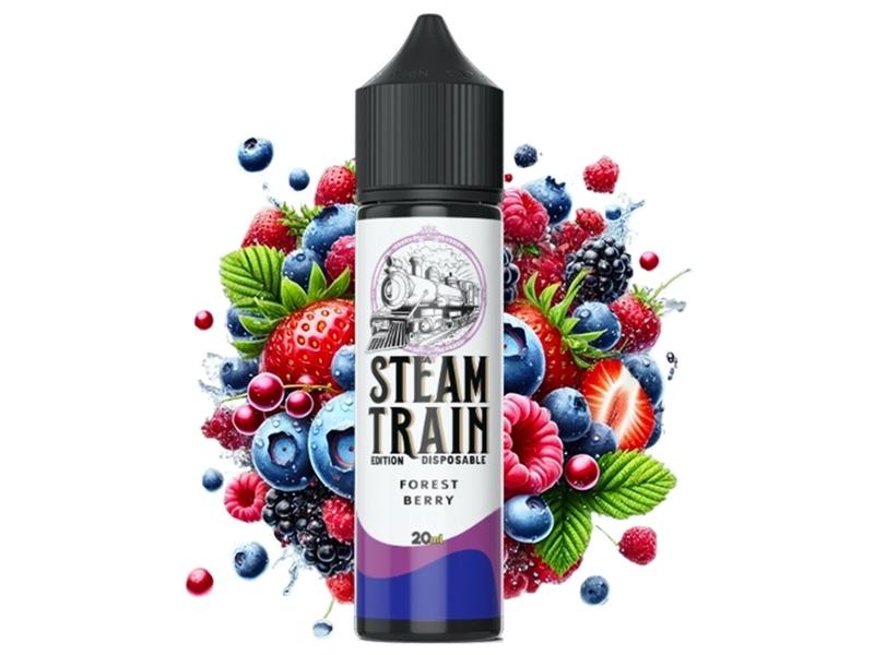 14738 - STEAMTRAIN DISPOSABLE EDITION Flavour Shot FOREST BERRY 20ml / 60ml (    )