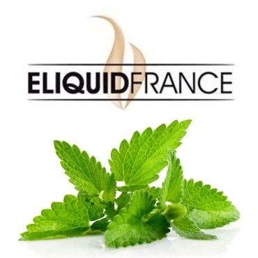 4696 -  ELIQUID FRANCE FREEZING MINT 10ml ()