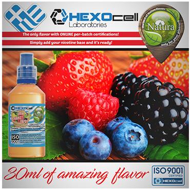 5009 - NATURA MIX SHAKE VAPE FOREST FRUIT MIX 30/60ML (  )