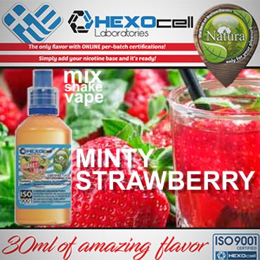 NATURA MIX SHAKE VAPE MINTY STRAWBERRY 30/60ML (  )