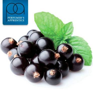  BLACK CURRANT Flavor Apprentice by Perfumers Apprentice 15ml ( )